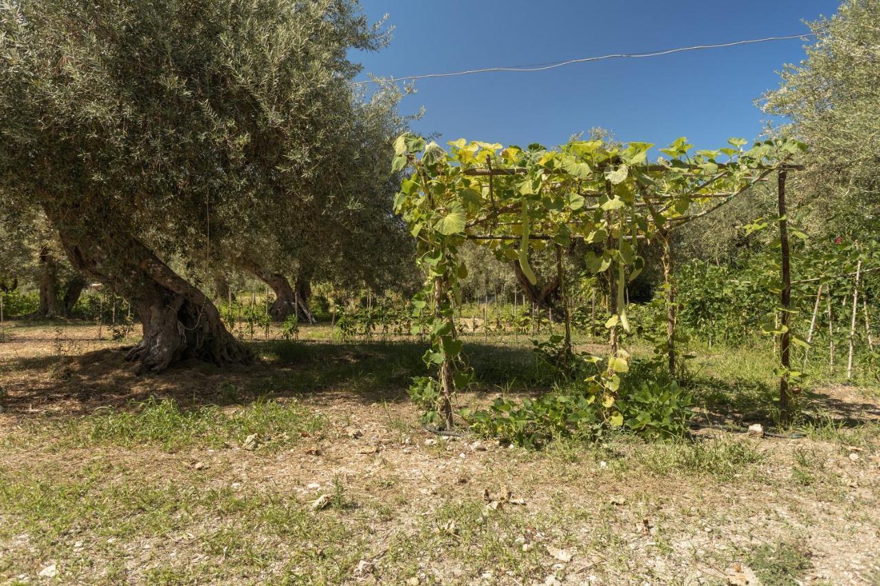 Villa Mendolia Ai Caracoli Termini Imerese Exterior foto
